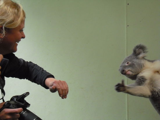 ..der wollt mit mir mit...und ich hätte ihn auch direkt eingepackt, das kleene Kerlchen 