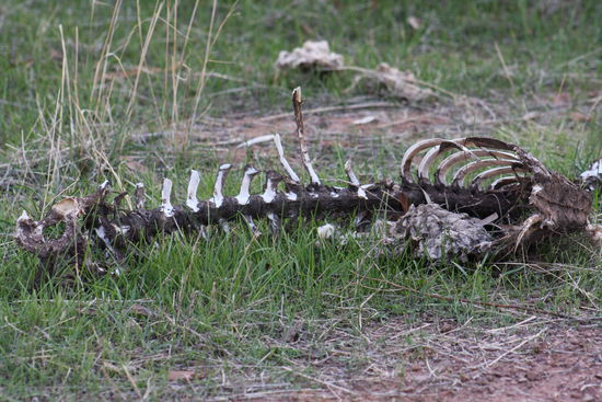 ...sieht man überall...