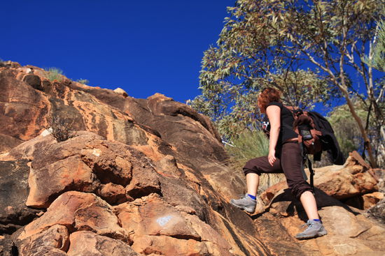 ...der Aufstieg zum obigen Lookout war zwar etwas steiler als geplant, aber es hatt sich gelohnt