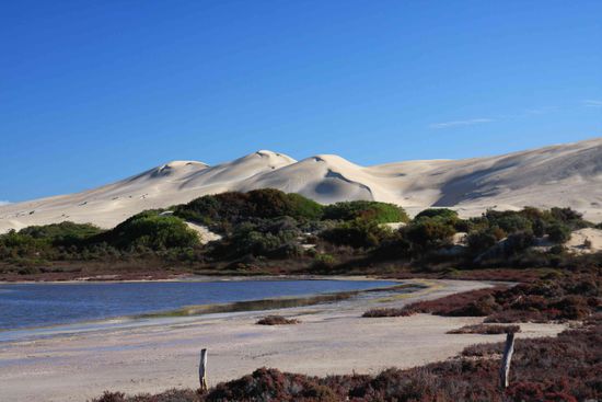...aufm Weg zum legendären cactus Beach an der Südküste von Australien. Alle Surfer wissen worum es geht 