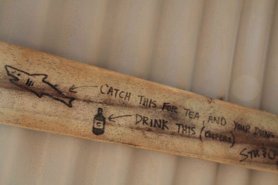 Die Gegend um Cactus ist berühmt berüchtigt für seine Bewohner, Great Whit Sharky. Wenn man Glück hat bekommt man einen zu Gesicht. Man muss aber schon ins Wasser getrauen 