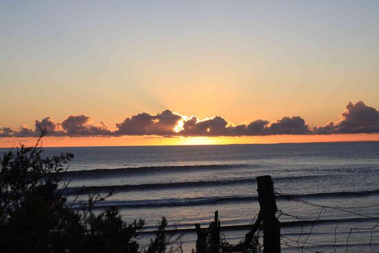 ...in der Nacht hab ich 7 Sternschnuppen gesehn...
