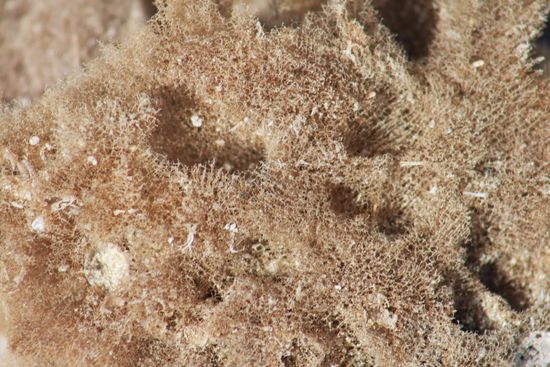 Keine Ahnung das wievielte...Suchbild Nummer... 