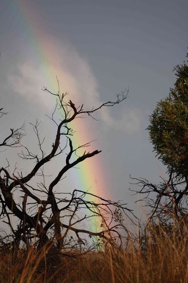 Regenbögen und Sternschnuppen haben wir schon soviele gesehen, dass uns das Glück niewieder verlassen dürfte 