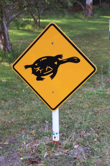 Die Aussie haben für fast jedes Tierchen ein Schildchen 