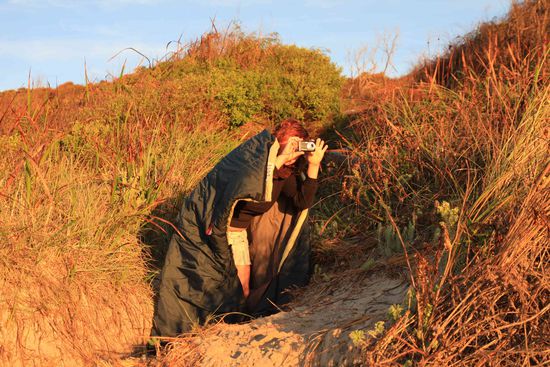 Belli hab ich dann zum Sonnenaufgang geweckt 