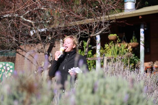 ...hmm, Honig -und Lavendeleis in Down Under