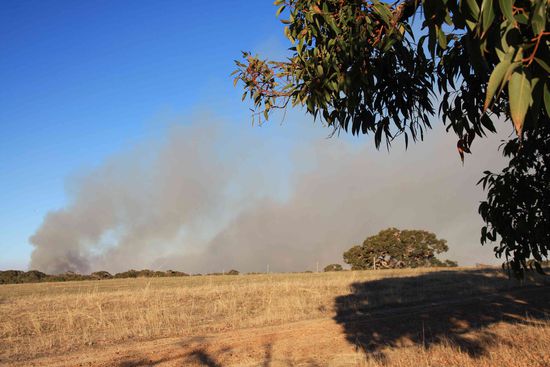 Waldbrände haben wir schon einige gesehen, aber die meisten sind kontrolliert und dienen der Rekultivierung
