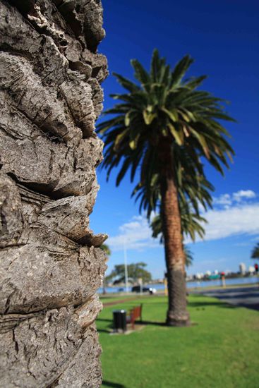 Beim Stadtspaziergang durch Perth