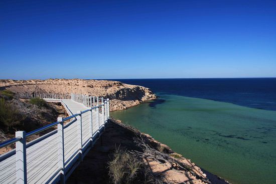 Das grüne Zeug: Seegras und das fressen die Seekühe hier, mehr als 10% der gesamten Welt-Popultion leben hier.