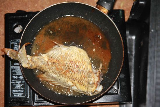 Fischis, 4 Stück hatten wir davon