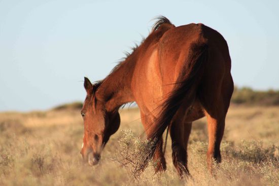Das is der 2. Kamerad, wie gesagt keine Ahnung, ich glaub Emil und Emma oder so ähnlich 