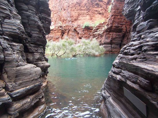 Martin is schon mal vorgeschwommen 