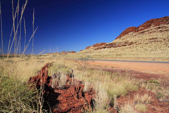 Es wird rot, die Erde, der Stein selbst der Sand!