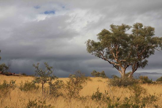 Gwitterstimmung im Karijini NP