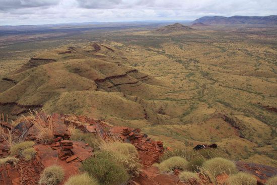Unsere Hiking Tour zum Mt. Bruce, dem 2. höchsten berg in WA, mit 1235 m.