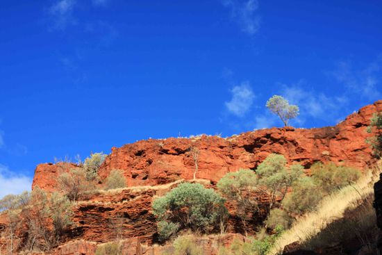 Die Farbe der Felsen, das Rot zieht mich immer mehr in den Bann. Vorallem, wenn es von der Nachmittagssonne angestarhlt wird.