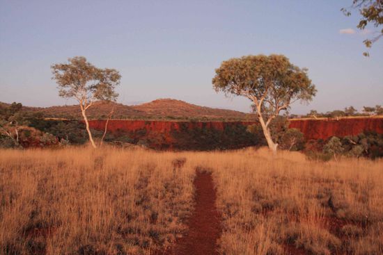 ...in der Dämmerung