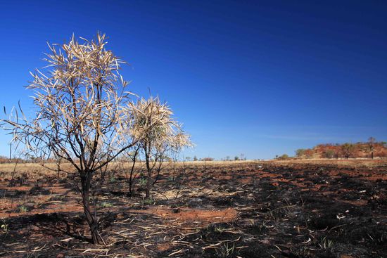 ....verbranntes Land