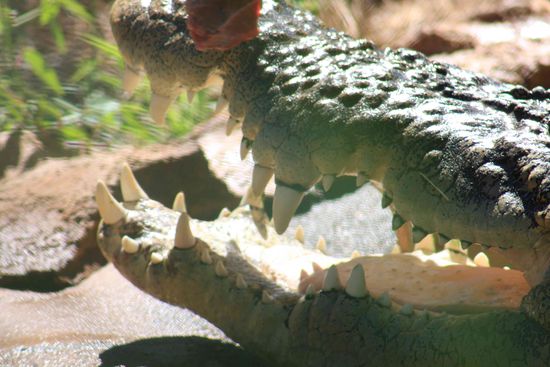Die Warnschilder haben schoon ihre Berechtigung.