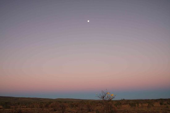 Ich lebe es wennn es hier dämmert! ....from Dusk till Dawn...ist die schönste Zeit, die Farben sind unglaublich schön