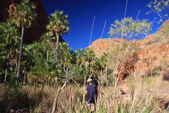 ...in der El Quesrto Gorge