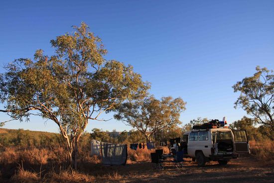 Schön oder? Wie in der Savanne Afrikas, nur dass wir hier in den Kimberleys sind.