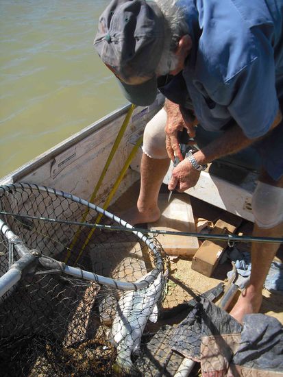 ...unser erster Fisch - Colin hat ihn gefangen
