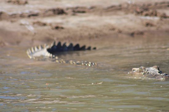 ...they are watching for you 