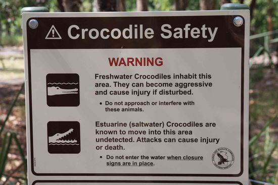 Ja, geht man nun rein oder lieber nich, wir sind reingegangen. Waren nich die einzigsten und die anderen sahen wesentlich appetitlicher aus als wir 