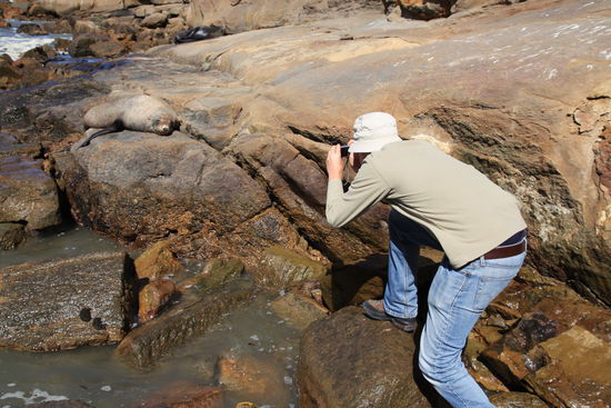 ...beim Robben-Guckn...