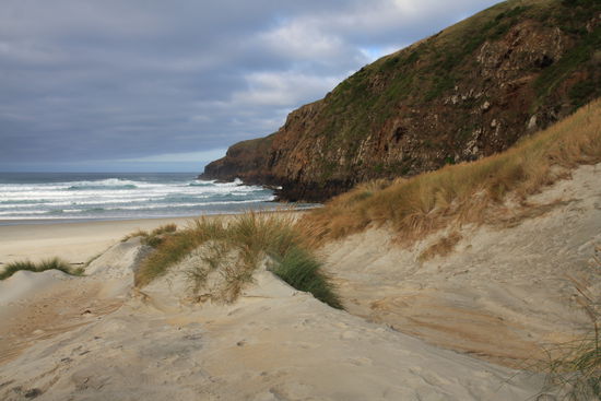 ...Bucht auf der Otago Peninsula