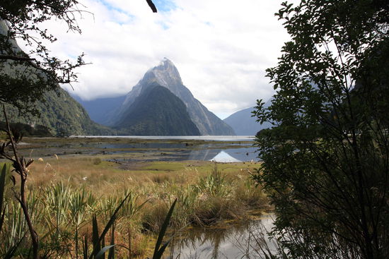 Blick auf den höchsten Berg des Milford Sounds im Förjdland National Park im äußerstten Südwesten von NZ (Mitre Peak 1692m), leider in Wölkchen eigehüllt. Die Sea-Cruising-Trip war trotzdem sehr beeindruckend.
