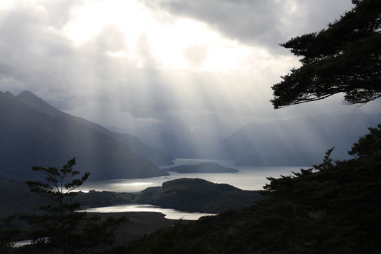 Blick auf den Lake Manapoui vom Lookout unserer Tracking Tour...der Aufstieg hat sich gelohnt