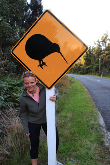Einen Kiwi (Wappenvogel NZ´s) in freier Wildbahn haben wir leider nicht zu Gesicht bekommen. Das war unser erstes und einzigstes Schild, welches auf die seltenen und sehr scheuen Tierchen hinweist. Auf Stewart Island (ganz im Süden der Südinsel) kann man sie in freier Natur noch erleben...
