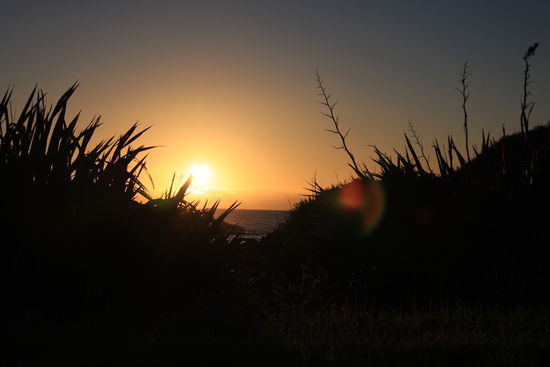 ....schön oder??? Hier haben wir gecampt...direkt am Meer und kurz vor Westport....