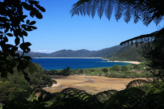 Wir sind ein Stück den Abel Tasman Track gelaufen....