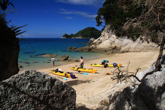 Wir, die 2 Vögel, 1 Robbe und sonst niemand...traumhaft