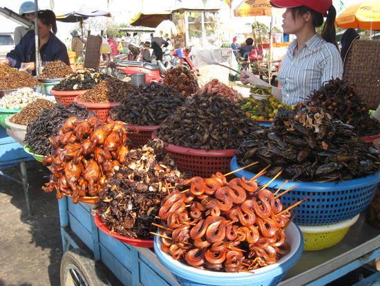 Untere Reihe von rechts nach links:
Schlangen am Spiess, kleine Spatzen, Voegel, frittierte Riesenspinnen, Kakalaken....