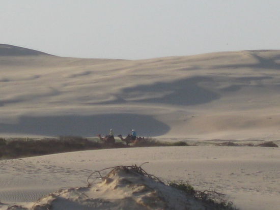 Typisch Australien???