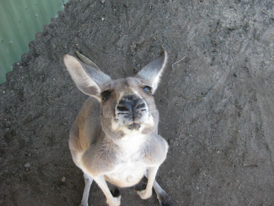 Sooo suess und sooo weich und sooo suess...