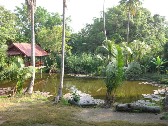 Aussicht aus unserem Zimmer