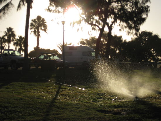 Auch wir pflegen unseren Garten.
