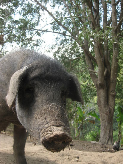 Denise! Schneid Dir doch mal die Nasenhaare!