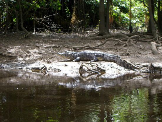 Gar nicht so weit weg von unserem Boot!