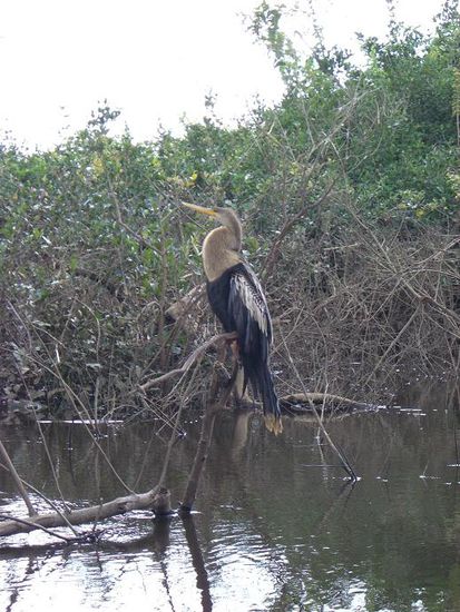 Hier nochmal in groesser