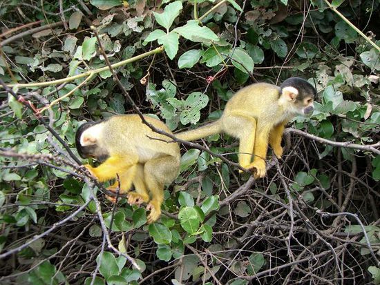 Fast haetten wir einen mitgenommen!