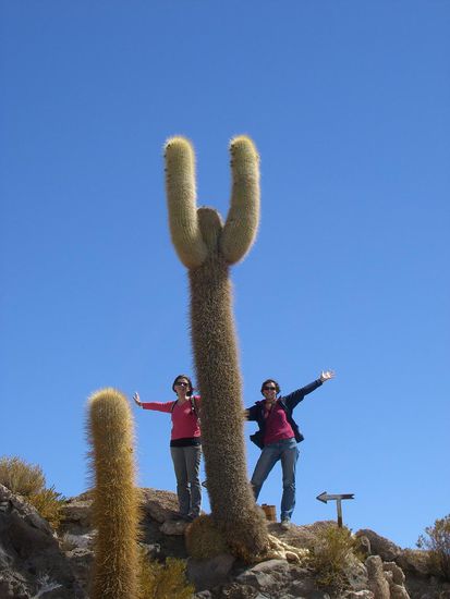 Auf der Isla del Pescado