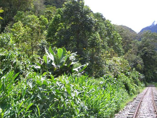 Wandern entlang der Gleise