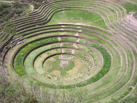 Blick in die groesste Mulde (jede Terrasse ist ca. 1,80 Meter hoch)